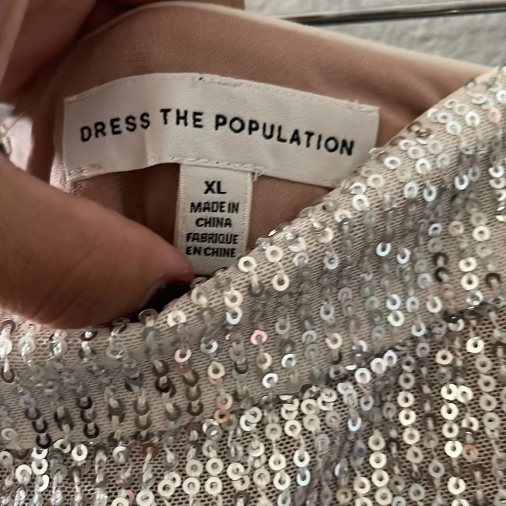 Dress the Population brand dress